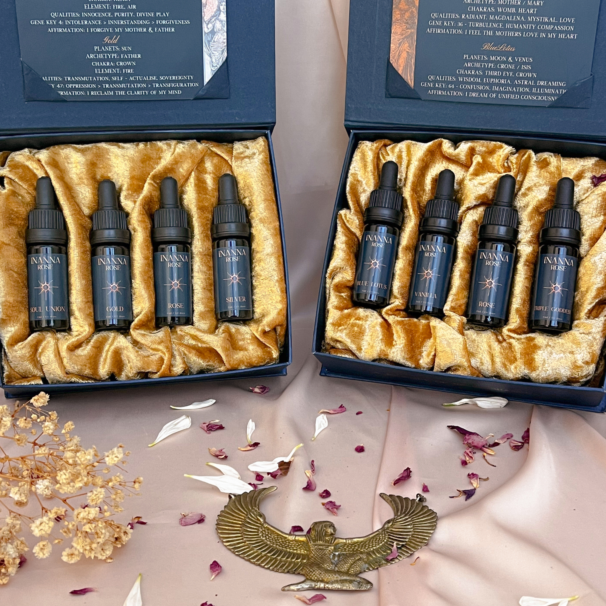 The Anointed | Inanna Rose Entire Collection | Box Sets Plus Binaural Frequencys